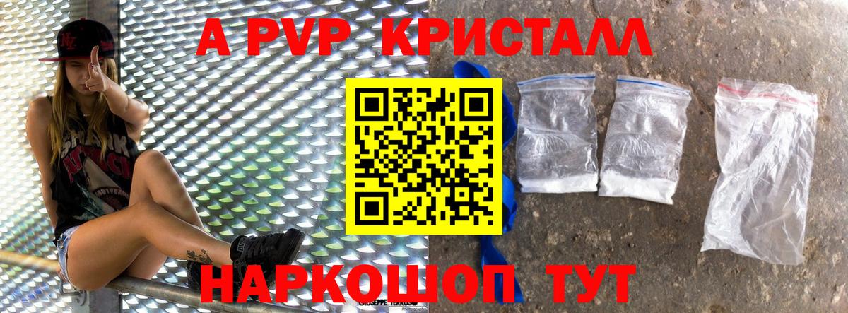 A PVP СК Владимир