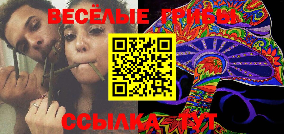 Владимир  Псилоцибиновые грибы GOLDEN TEACHER  Вход с VPN 