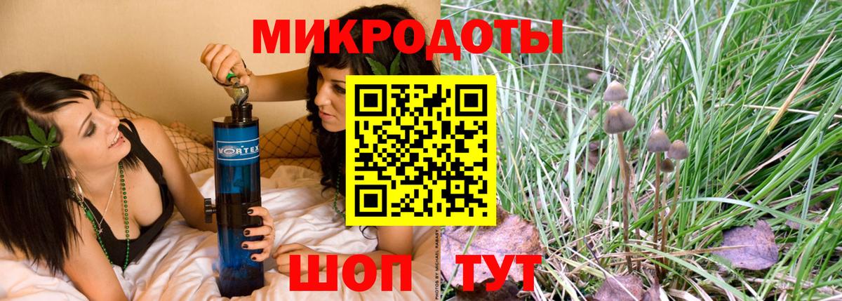Псилоцибиновые грибы Psilocybine cubensis Владимир