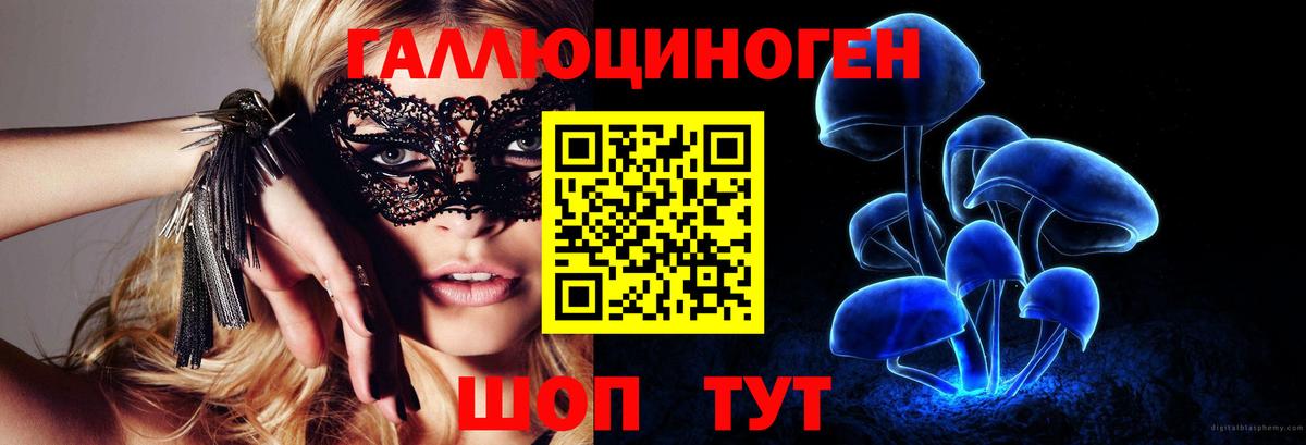 МЕФ Владимир